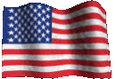 3dusflag